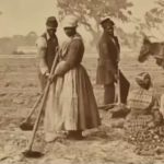 Cantos de libertad: el poder oculto de los spirituals en la historia afroamericana y el jazz.